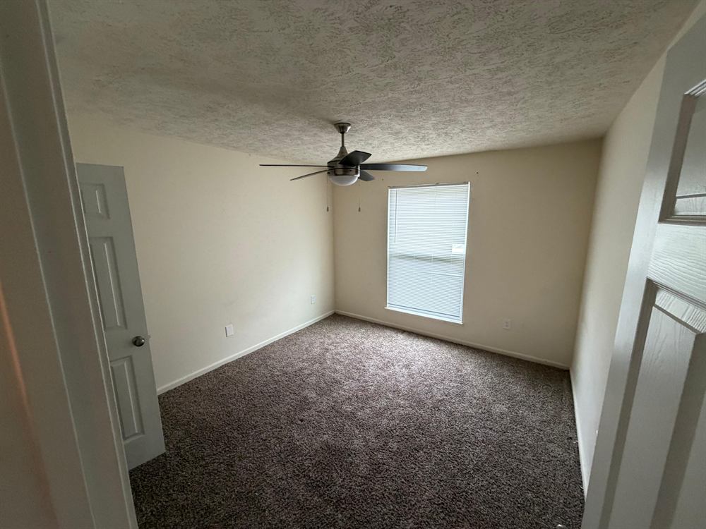 Freshly painted bedroom with ceiling fan, window and new carpet ready for move-in