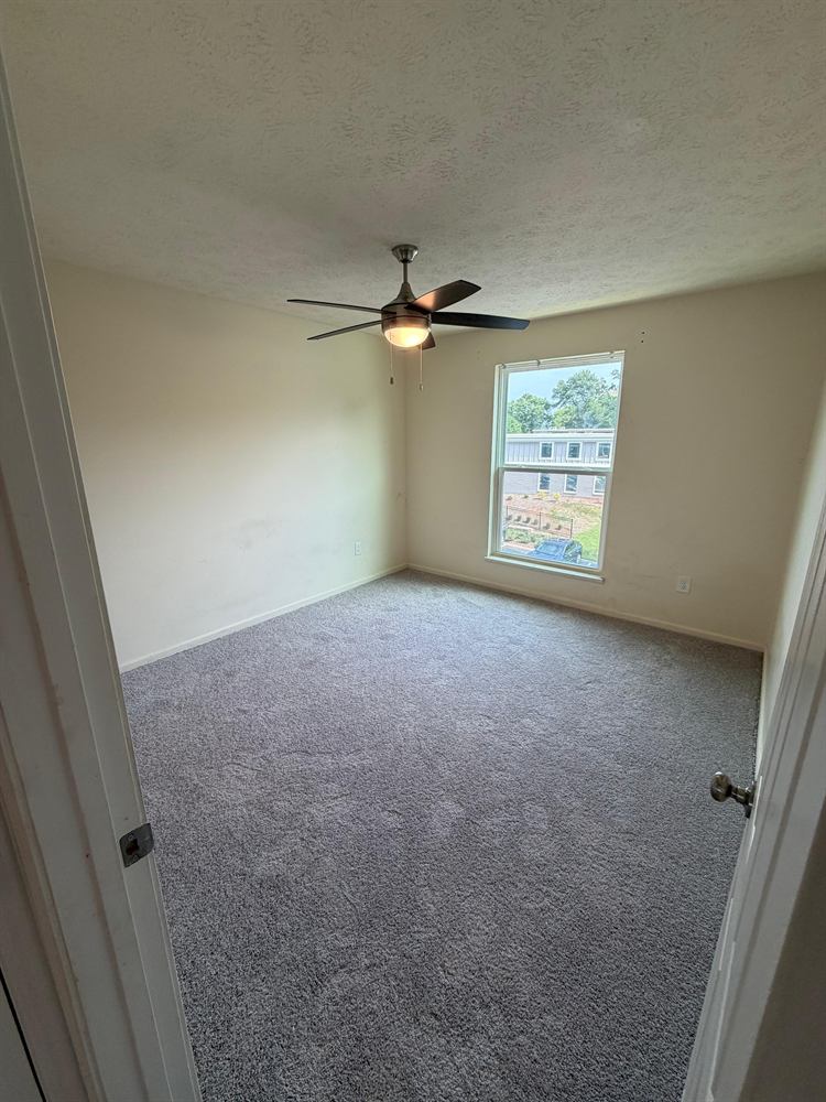 Repainted bedroom with grey carpet, ceiling fan and bright window
