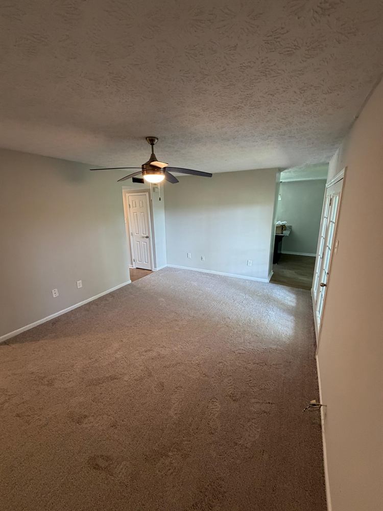 Open plan living room with freshly painted walls and clean carpet