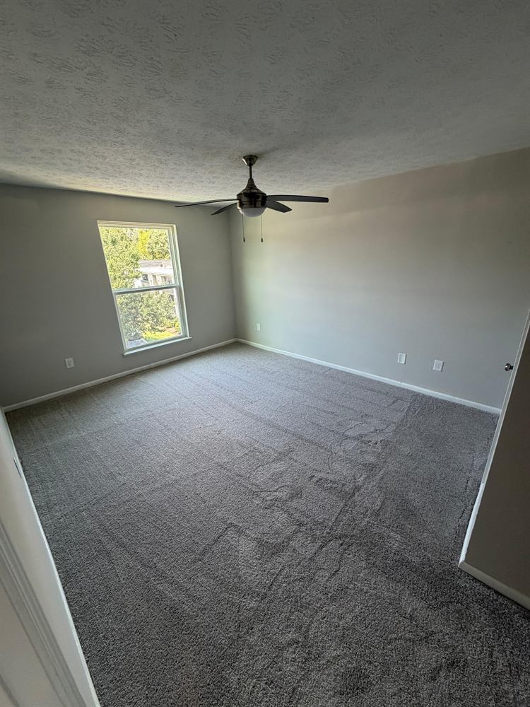 Finished bedroom ready for the next tenant with fresh paint and clean carpet